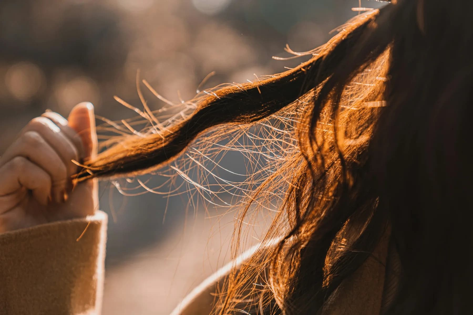 Dark hair strands lit by warm natural light